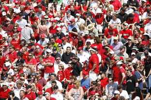 爱游戏全站注册-体育新闻中心快讯榜单刷新，体育新闻 体坛快讯